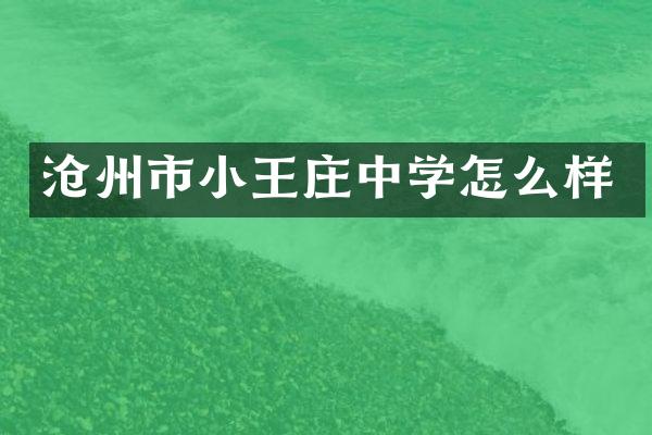沧州市小王庄中学怎么样