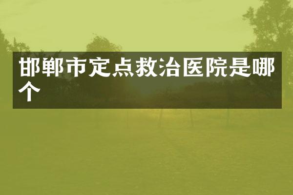 邯郸市定点救治医院是哪个