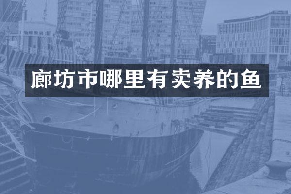 廊坊市哪里有卖养的鱼
