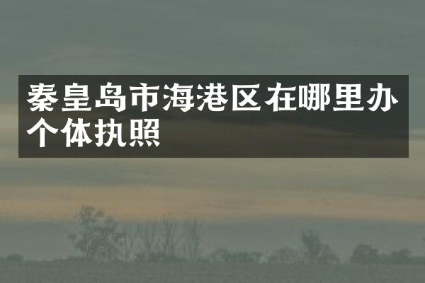 秦皇岛市海港区在哪里办个体执照