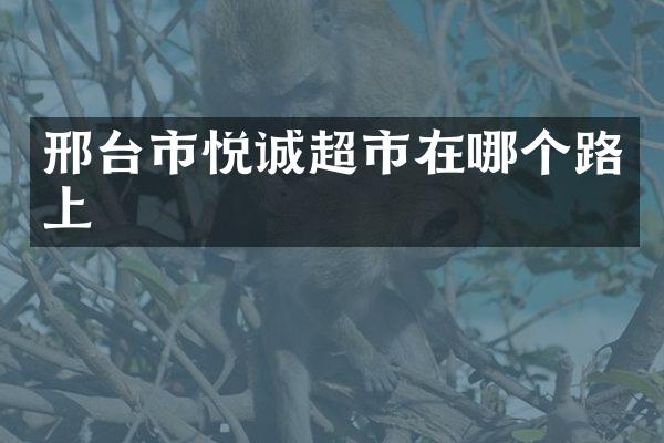 邢台市悦诚超市在哪个路上