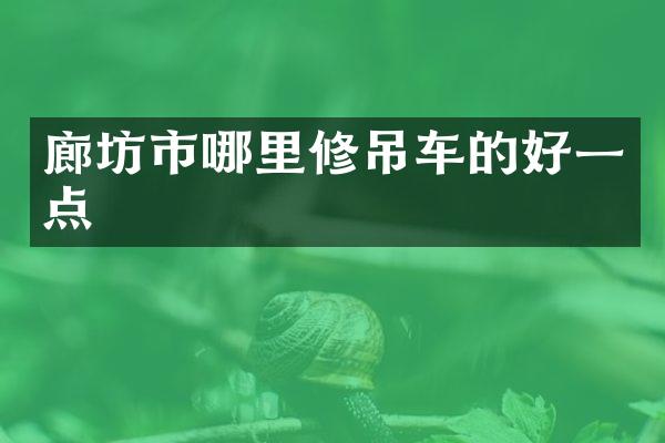廊坊市哪里修吊车的好一点