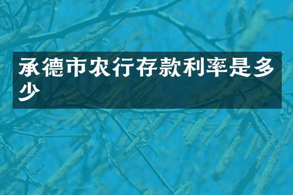 承德市农行存款利率是多少