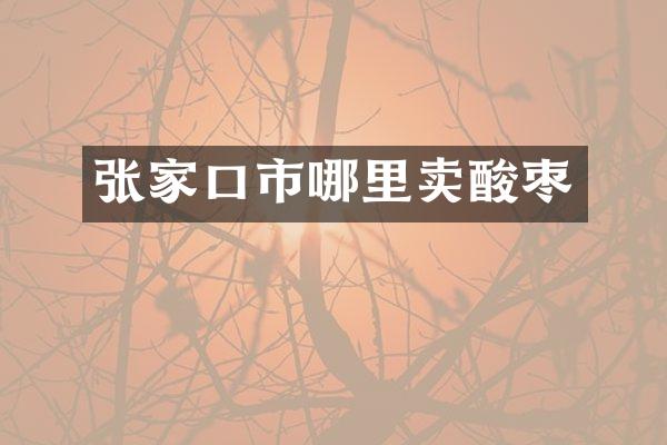 张家口市哪里卖酸枣