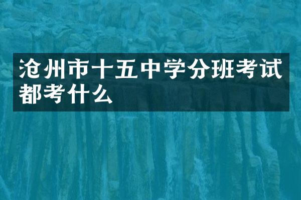 沧州市十五中学分班考试都考什么