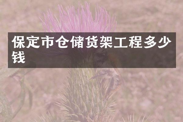 保定市仓储货架工程多少钱