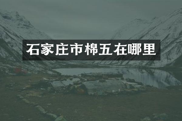 石家庄市棉五在哪里