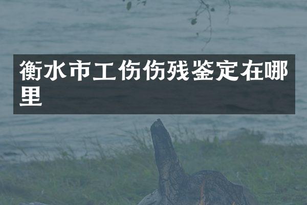 衡水市工伤伤残鉴定在哪里