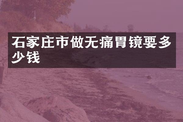 石家庄市做无痛胃镜要多少钱