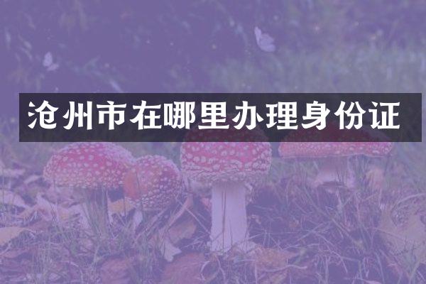 沧州市在哪里