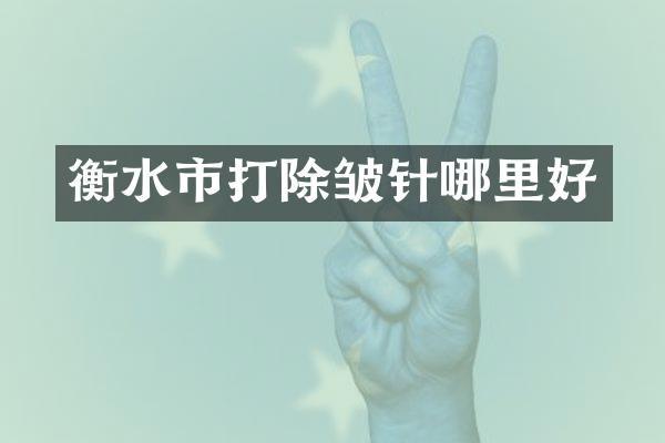 衡水市打除皱针哪里好
