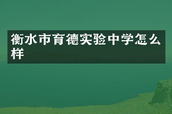 衡水市育德实验中学怎么样