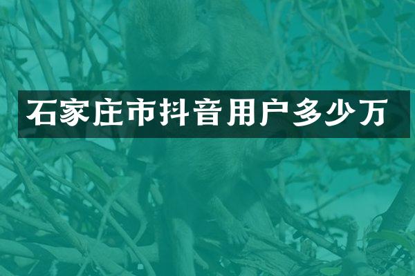 石家庄市抖音用户多少万