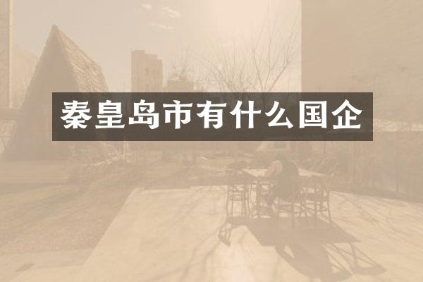 秦皇岛市有什么国企