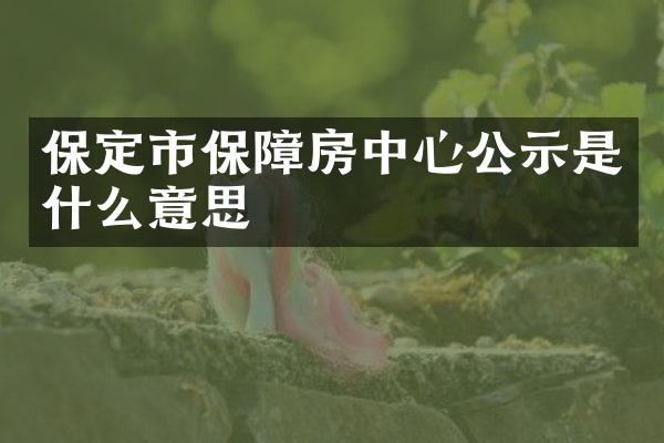 保定市保障房中心公示是什么意思