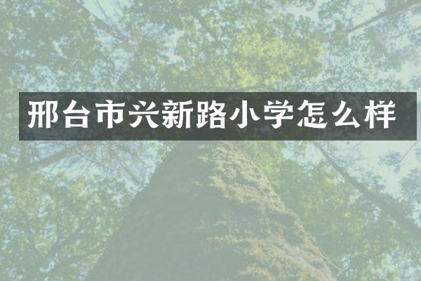 邢台市兴新路小学怎么样