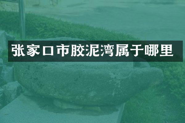 张家口市胶泥湾属于哪里
