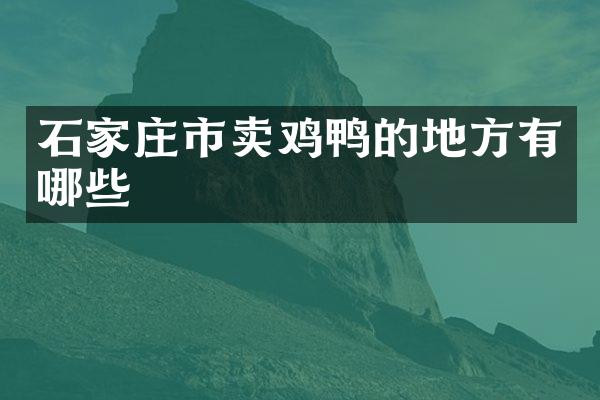 石家庄市卖鸡鸭的地方有哪些