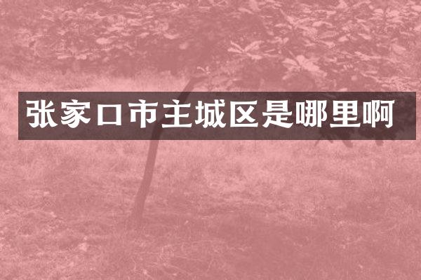 张家口市主城区是哪里啊