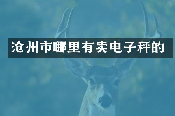 沧州市哪里有卖电子秤的