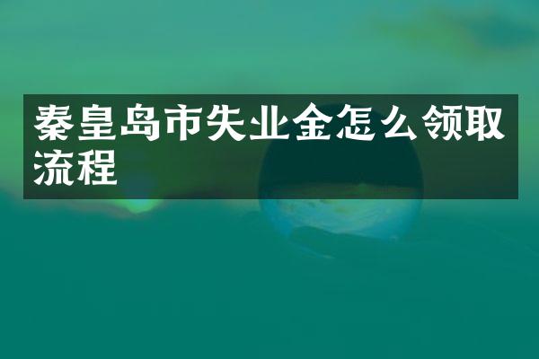 秦皇岛市失业金怎么领取流程