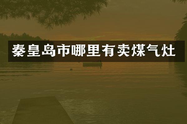 秦皇岛市哪里有卖煤气灶