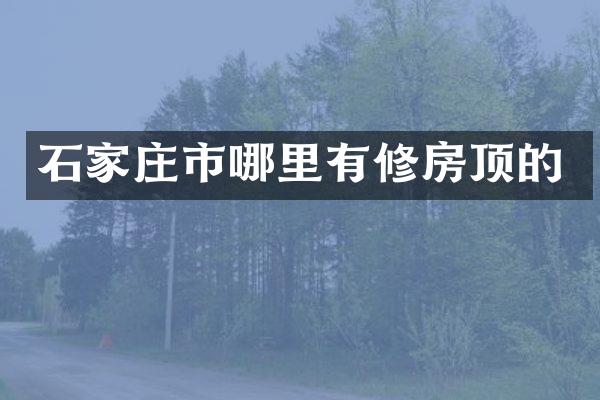 石家庄市哪里有修房顶的