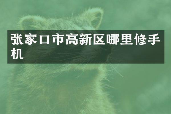 张家口市高新区哪里修手机