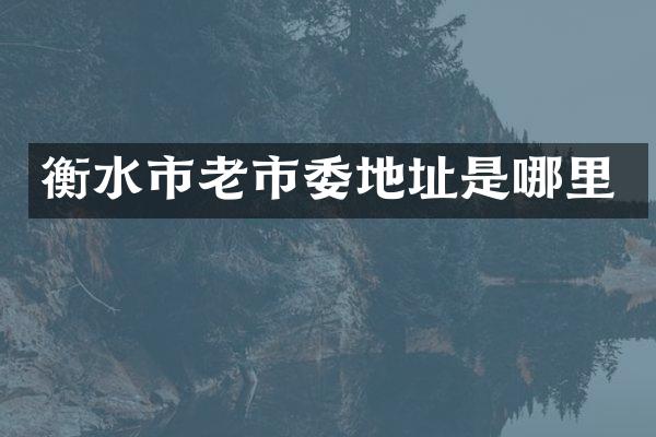 衡水市老市委地址是哪里