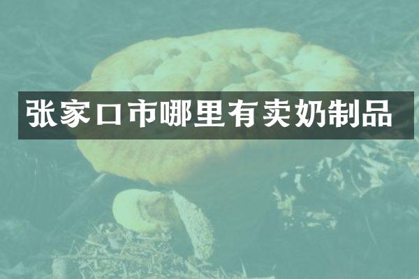 张家口市哪里有卖奶制品