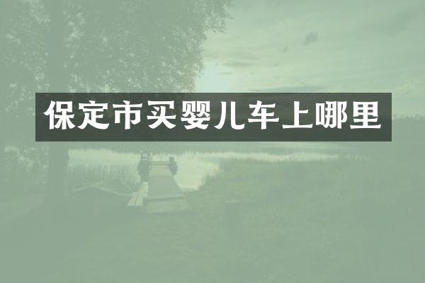 保定市买婴儿车上哪里
