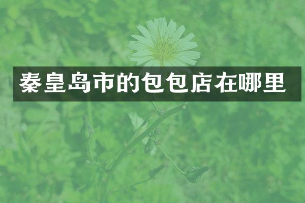 秦皇岛市的包包店在哪里
