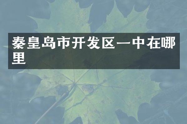 秦皇岛市开发区一中在哪里