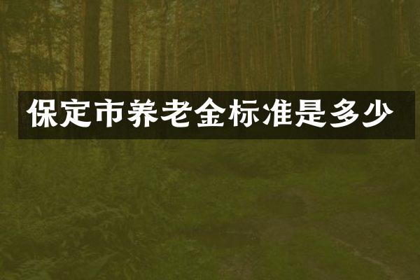 保定市养老金标准是多少