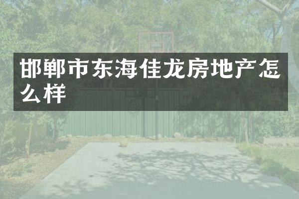 邯郸市东海佳龙房地产怎么样