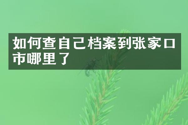 如何查自己档案到张家口市哪里了