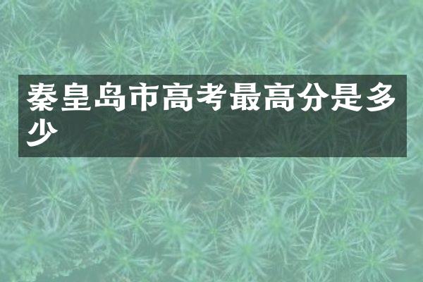 秦皇岛市高考最高分是多少