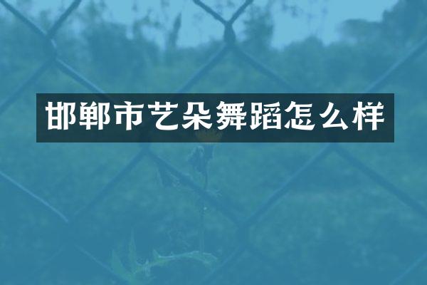 邯郸市艺朵舞蹈怎么样