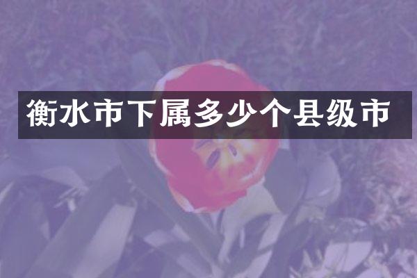 衡水市下属多少个县级市