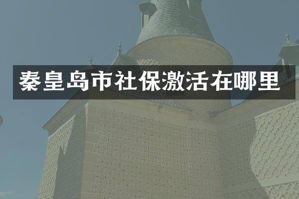 秦皇岛市社保激活在哪里
