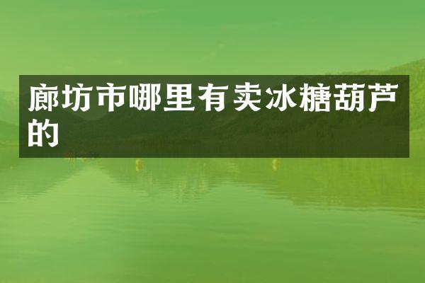 廊坊市哪里有卖冰糖葫芦的