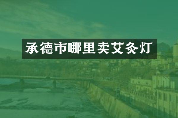 承德市哪里卖艾灸灯