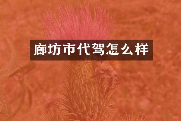 廊坊市代驾怎么样