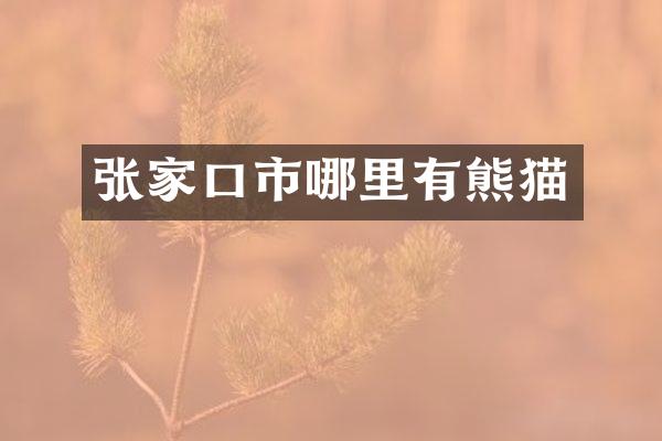 张家口市哪里有熊猫