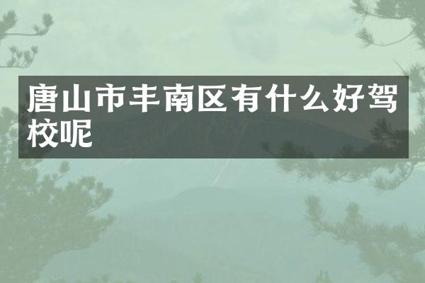唐山市丰南区有什么好驾校呢