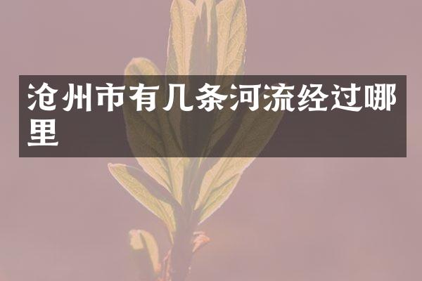 沧州市有几条河流经过哪里
