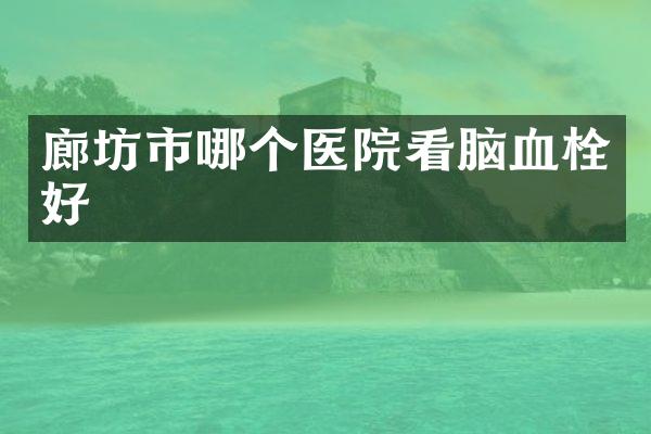 廊坊市哪个医院看脑血栓好