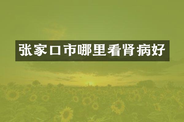 张家口市哪里看肾病好