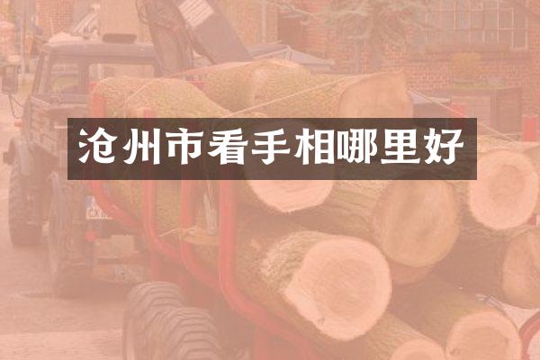 沧州市看手相哪里好