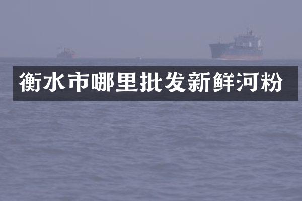 衡水市哪里批发新鲜河粉